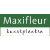 MAXIFLEUR BV