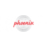 PHOENIX SAFE